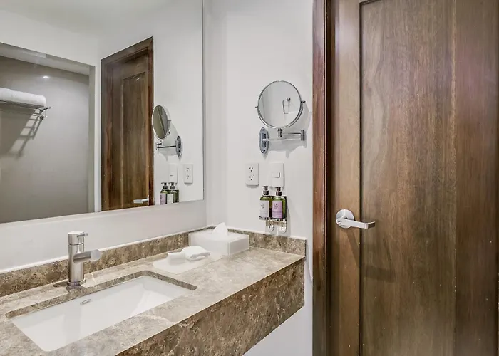 Hotel Fiesta Insurgentes Sur 4*